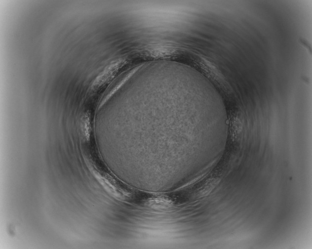 X0000101190644200807071316