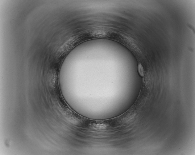X0000101190645200807071316