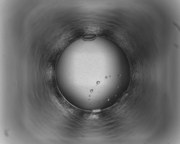 X0000101190647200807071316