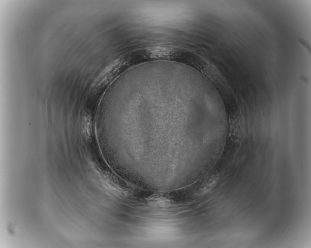 X0000101190648200807071316
