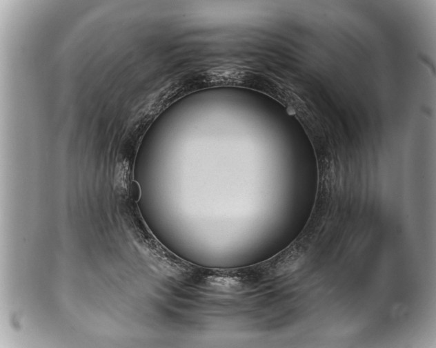X0000101190649200807071316