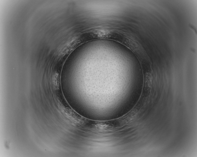 X0000101190650200807071316