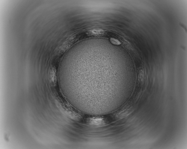 X0000101190651200807071316