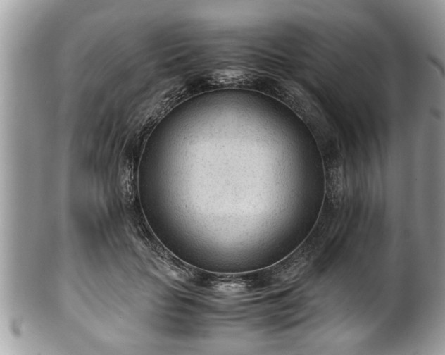 X0000101190653200807071316