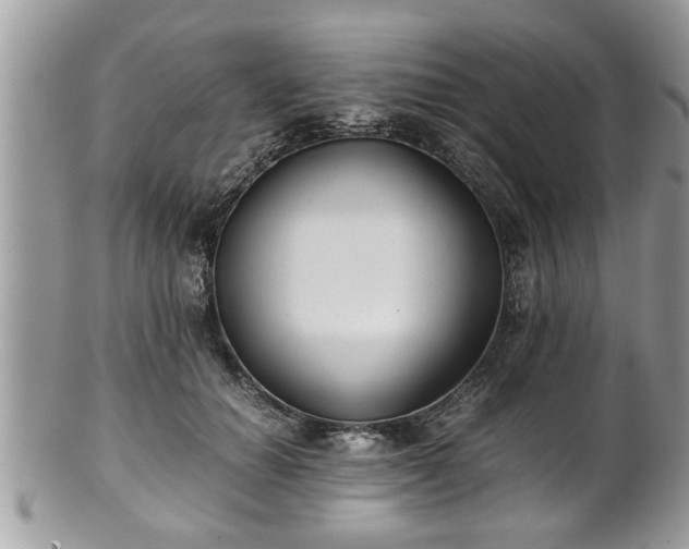 X0000101190654200807071316