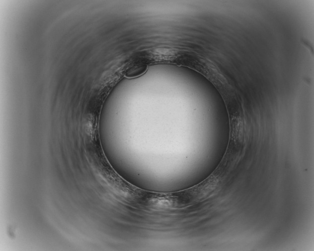 X0000101190655200807071316