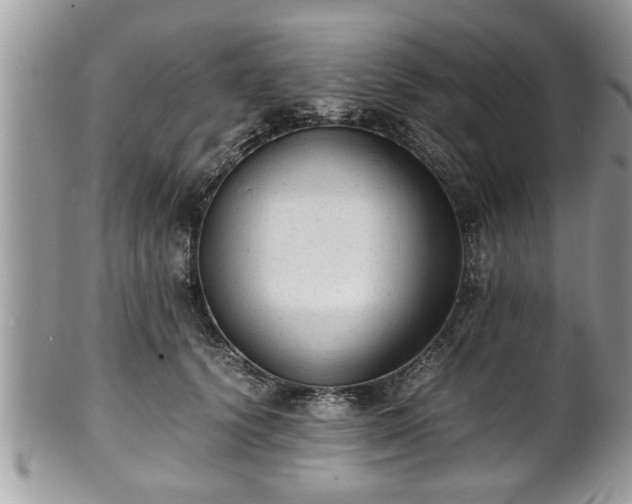 X0000101190656200807071316