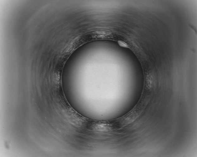 X0000101190657200807071316
