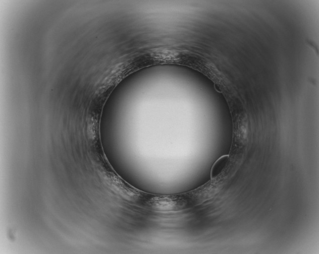 X0000101190658200807071316