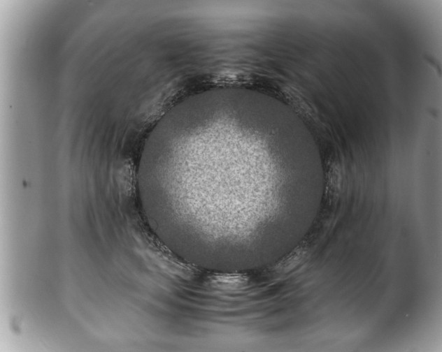 X0000101190659200807071316