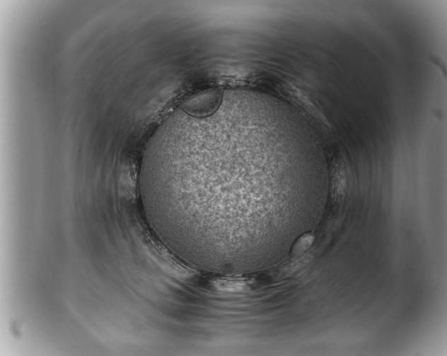 X0000101190661200807071316