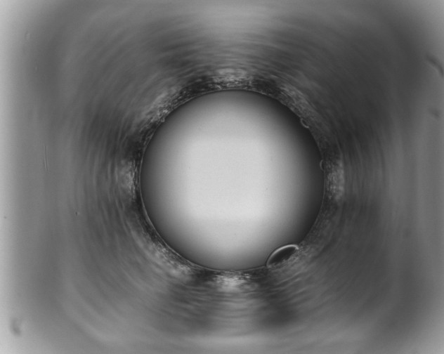 X0000101190662200807071316