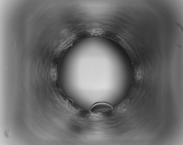 X0000101190666200807071316