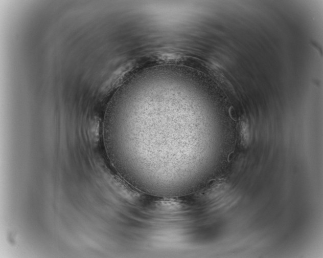 X0000101190668200807071316