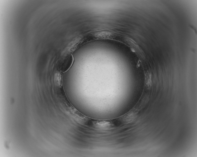 X0000101190669200807071316
