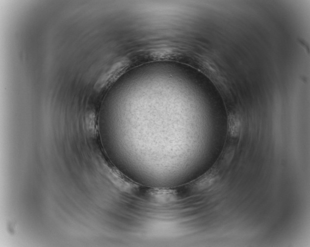 X0000101190670200807071316