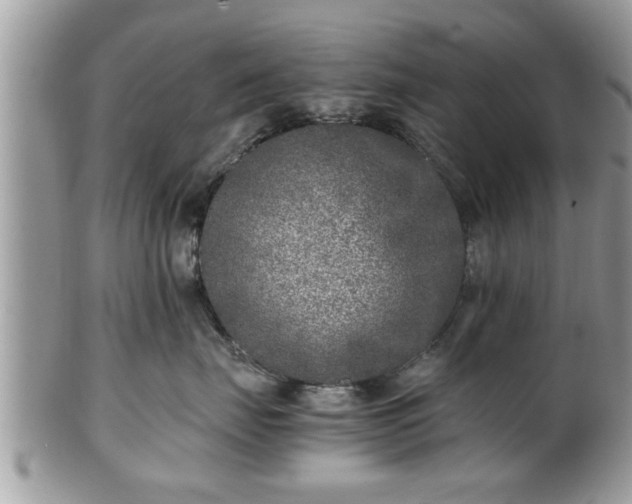 X0000101190671200807071316