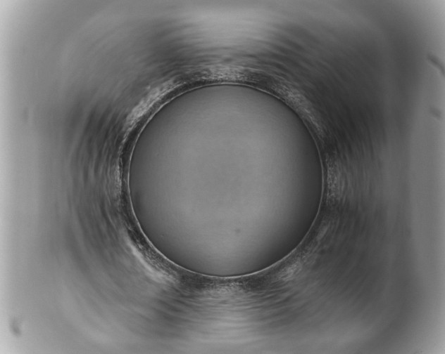X0000101190674200807071315