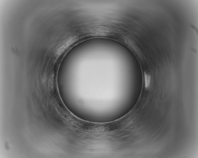 X0000101190675200807071315
