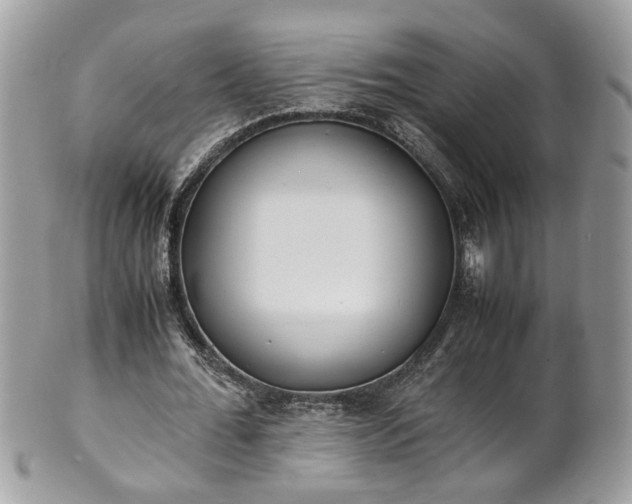 X0000101190676200807071315