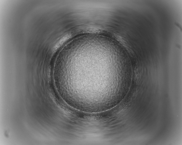 X0000101190679200807071315