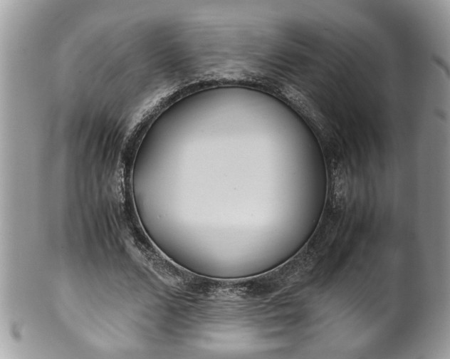 X0000101190680200807071315