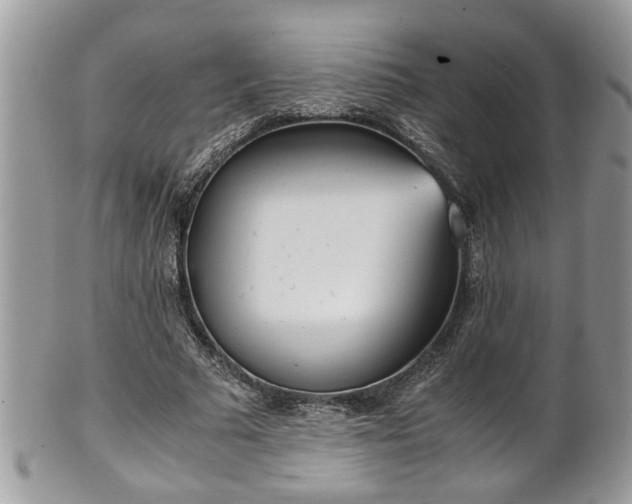 X0000101190681200807071315
