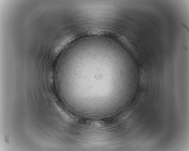X0000101190683200807071315