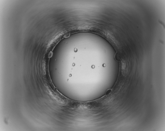 X0000101190684200807071315