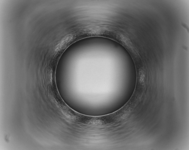 X0000101190685200807071315