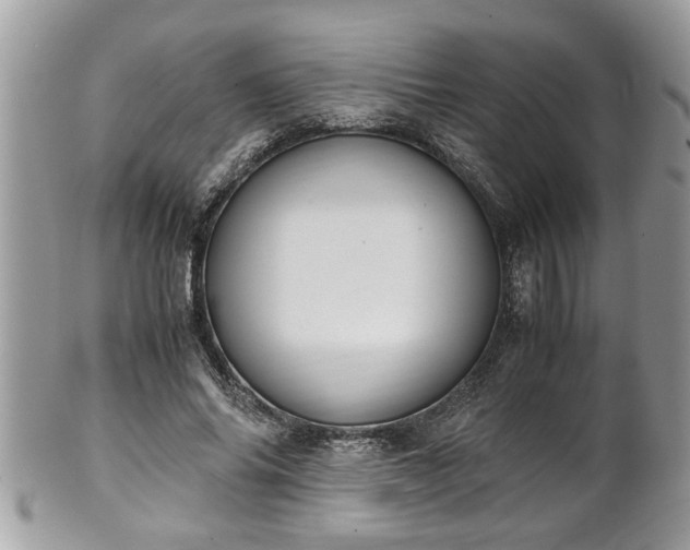 X0000101190686200807071315