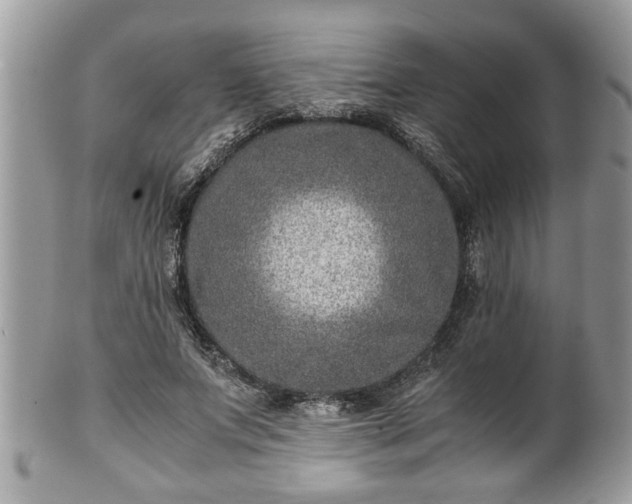 X0000101190687200807071315