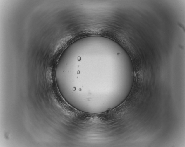 X0000101190688200807071315