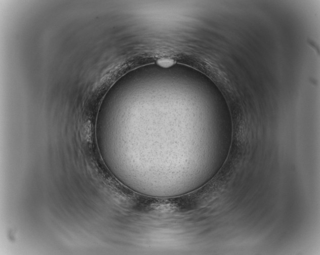 X0000101190689200807071315