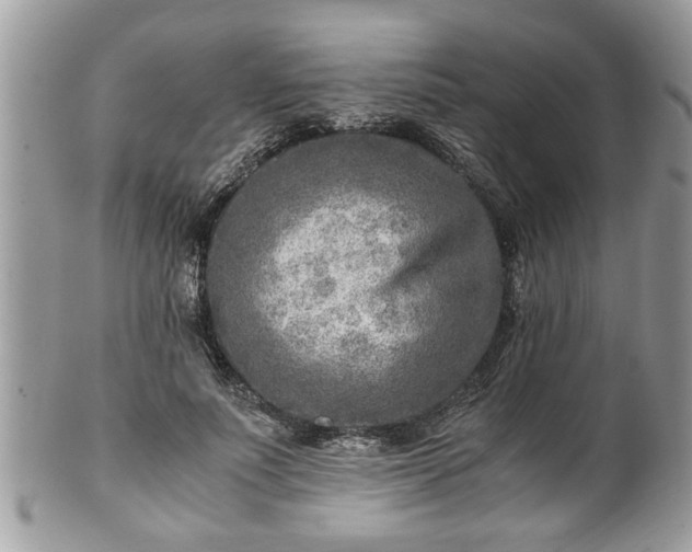 X0000101190691200807071315