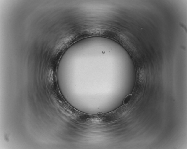 X0000101190692200807071315