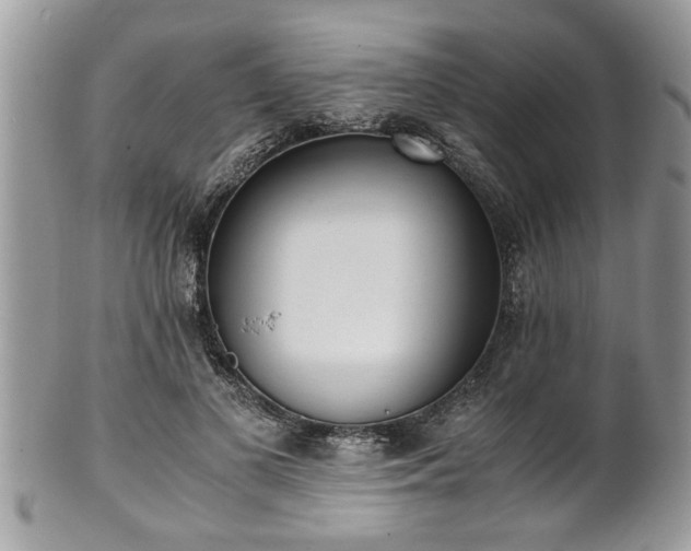 X0000101190693200807071315