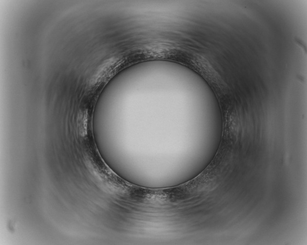 X0000101190694200807071315