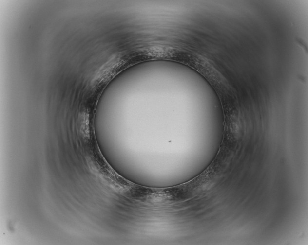 X0000101190696200807071315