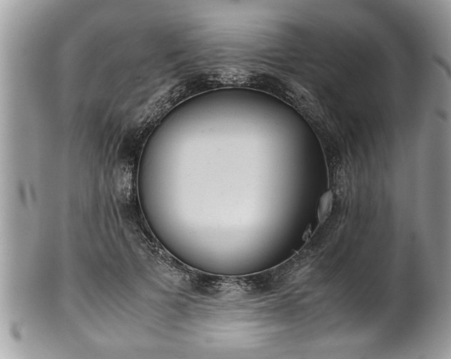 X0000101190697200807071315