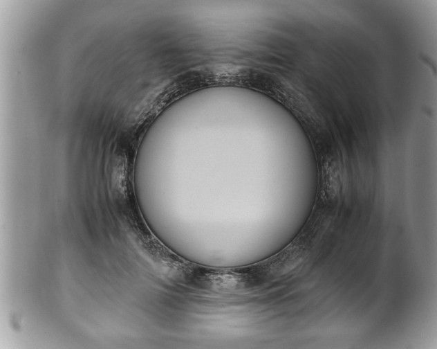 X0000101190698200807071315