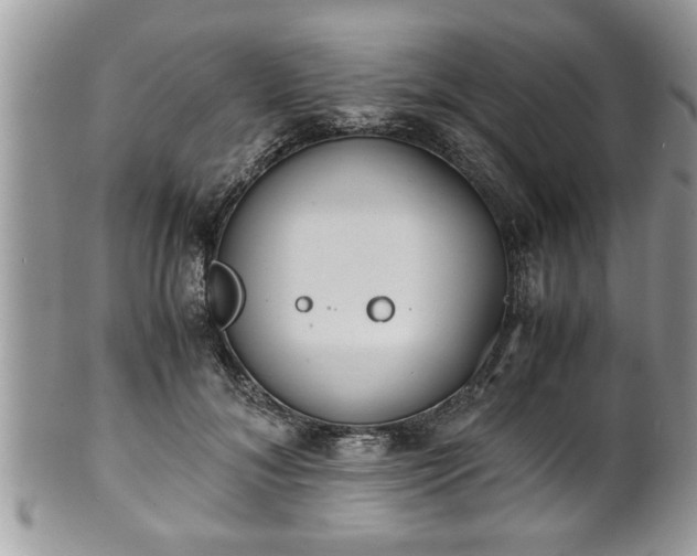 X0000101190700200807071315