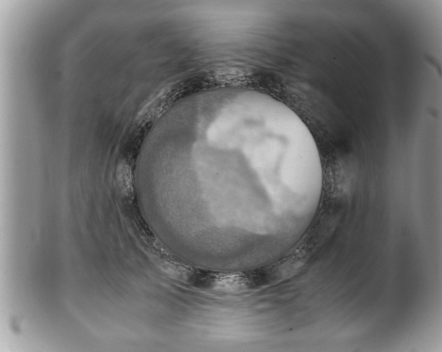 X0000101190705200807071315