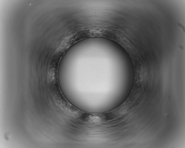 X0000101190706200807071315