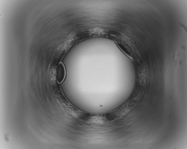 X0000101190708200807071315