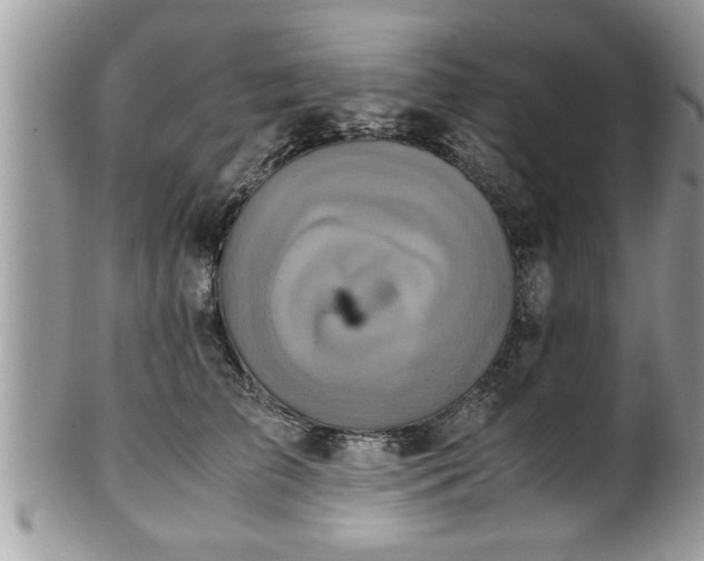 X0000101190709200807071315