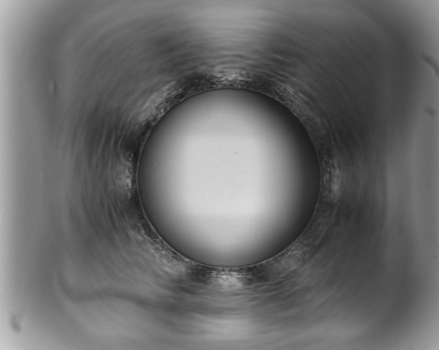 X0000101190710200807071315