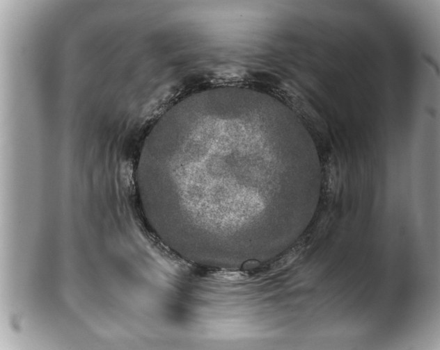 X0000101190711200807071315