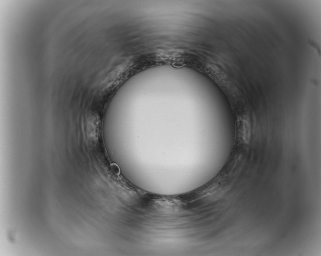 X0000101190712200807071315