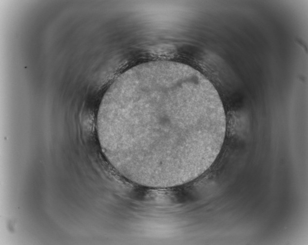 X0000101190713200807071315